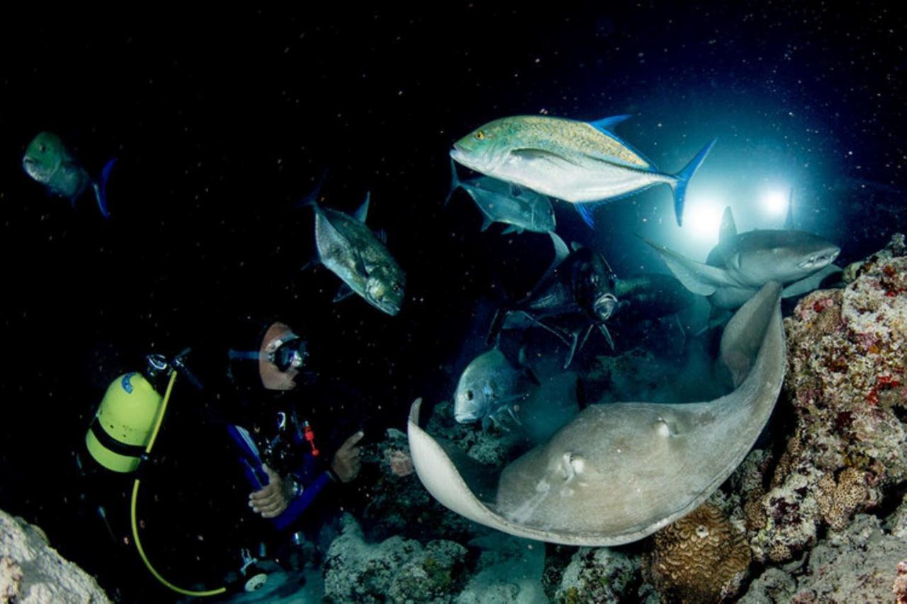 Hotel And Dive Center Roatan Yacht Club French Harbour المظهر الخارجي الصورة