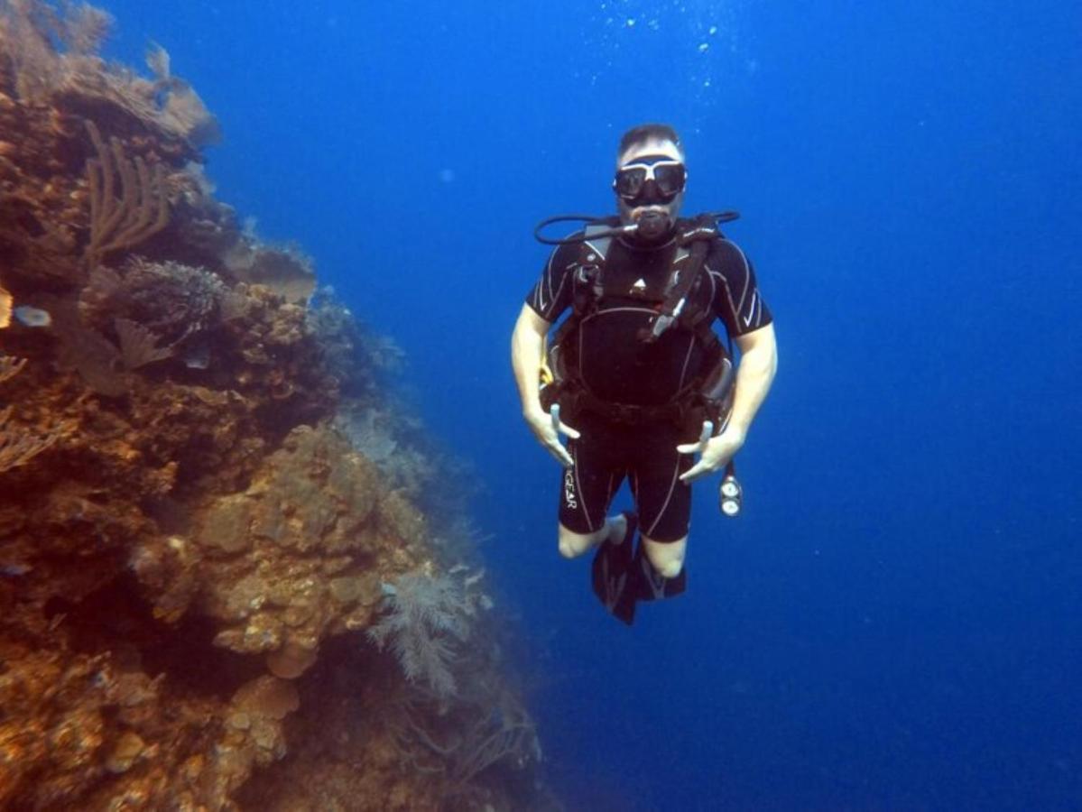 Hotel And Dive Center Roatan Yacht Club French Harbour المظهر الخارجي الصورة